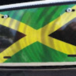 Meet your Posher, Virgo